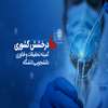 درخشش کمیته‌ تحقیقات و فناوری دانشجویی دانشگاه‌ در بین دانشگاه‌های علوم پزشکی کشور