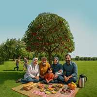 تبیین ساختار مطلوب جمعیتی ایران؛ چالش‌ها و راهبردها