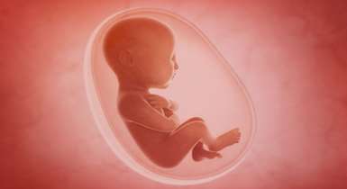 درمان فیبروم‌های رحمی خطر سقط را کاهش می‌دهد