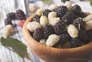 تاثیر مصرف انواع توت در حفظ سلامت افراد