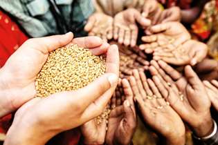 برگزاری اولین همایش ملی سلامت خاک، سلامت انسان و امنیت غذایی