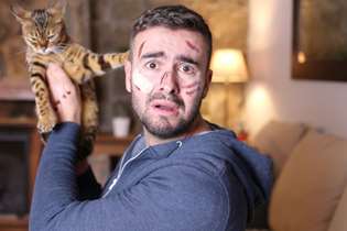 افزایش موارد حیوان گزیدگی توسط گربه در تهران