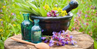  چالش های فضای مجازی در حوزه طب ایرانی بررسی شد