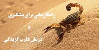 عقرب گزيدگي در كودكان زير 10 سال بسيار خطرناك است