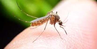 تداوم عملیات کنترل بیماری سالک در دانشگاه علوم پزشکی شهیدبهشتی 