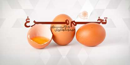 پاسخ به متداول‌ترین پرسش ها درباره تخم مرغ سالم